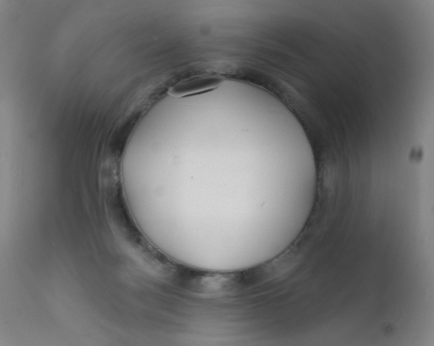 X0000112160172200909041135