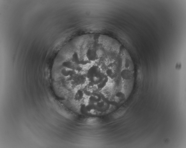 X0000112160173200909041135