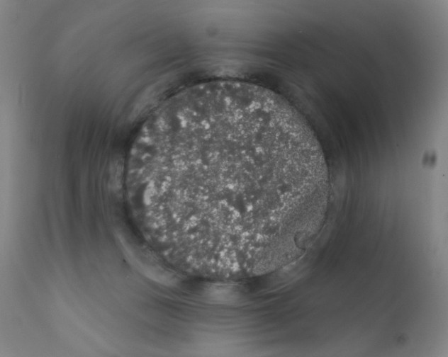 X0000112160175200909041135