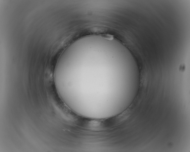 X0000112160176200909041135