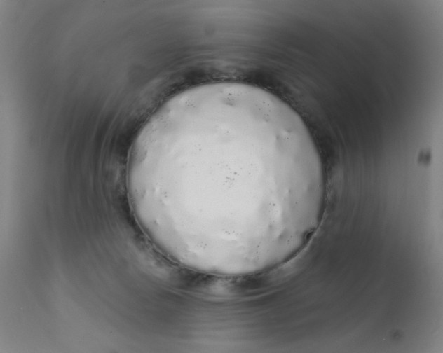X0000112160178200909041135