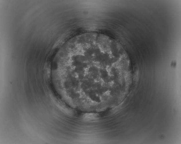 X0000112160179200909041135