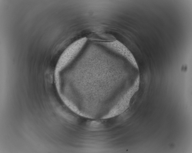 X0000112160180200909041135