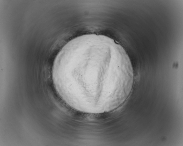 X0000112160182200909041135