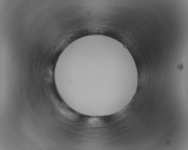 X0000112160183200909041135