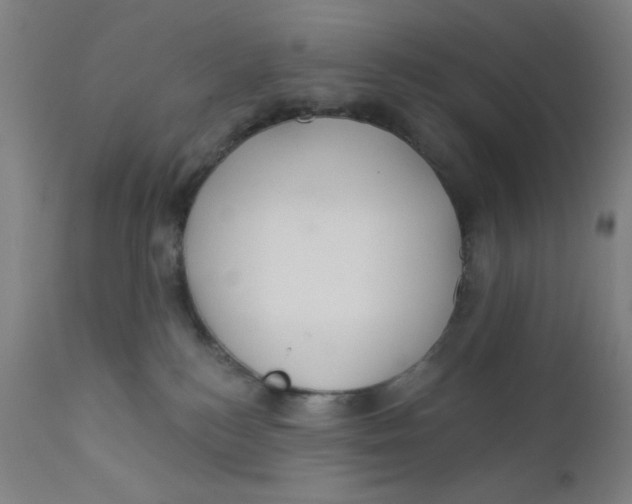 X0000112160184200909041135