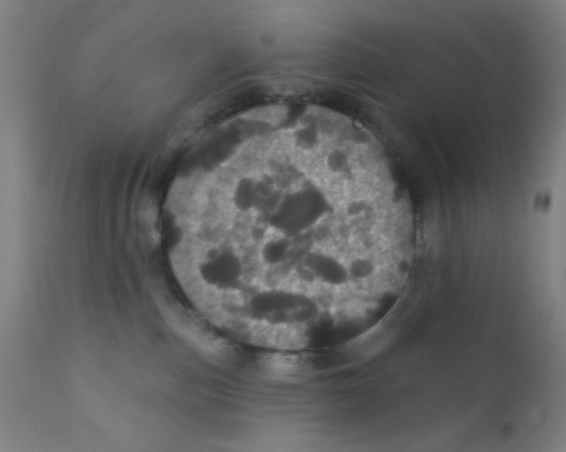 X0000112160187200909041135