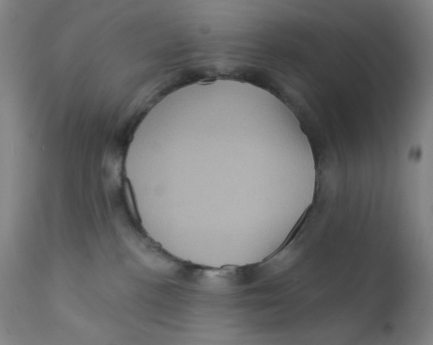 X0000112160188200909041135