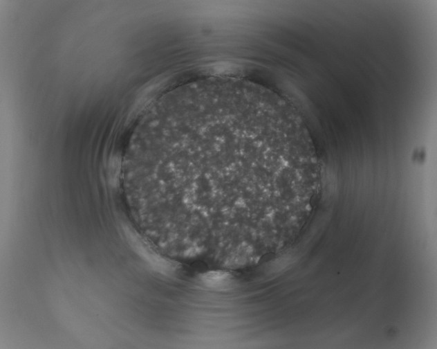X0000112160189200909041135