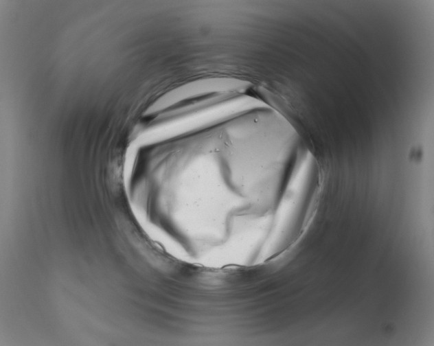 X0000112160190200909041135