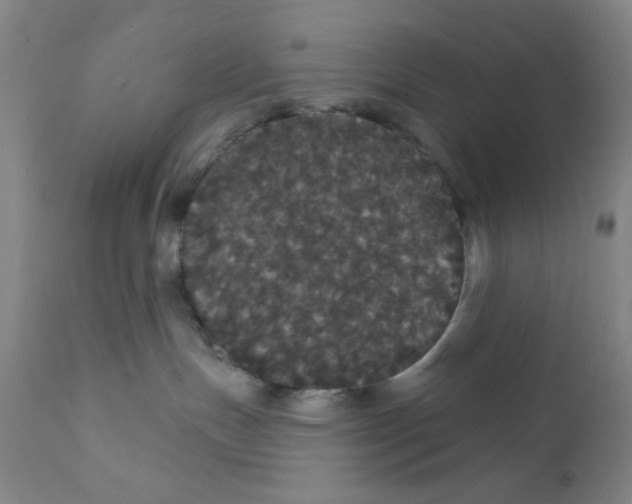 X0000112160191200909041135