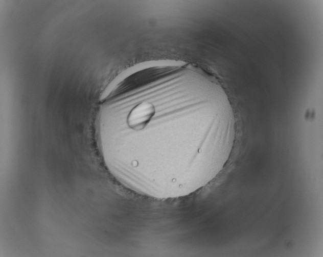 X0000112160192200909041135