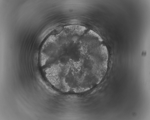 X0000112160194200909041134