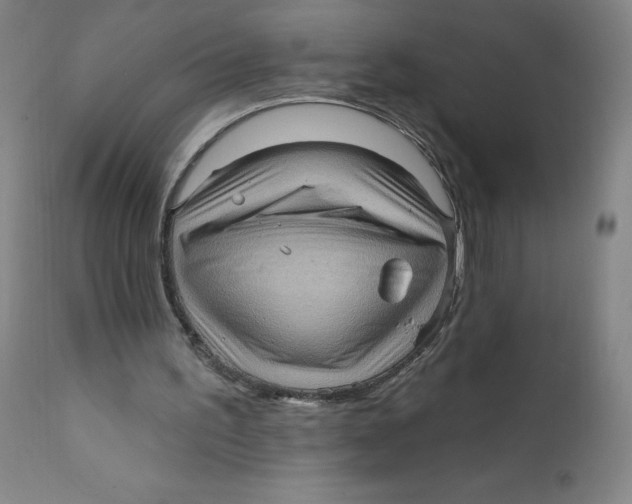 X0000112160195200909041134