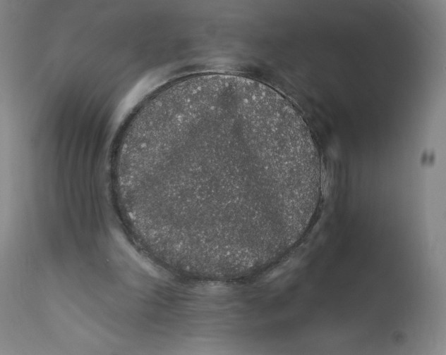 X0000112160198200909041134