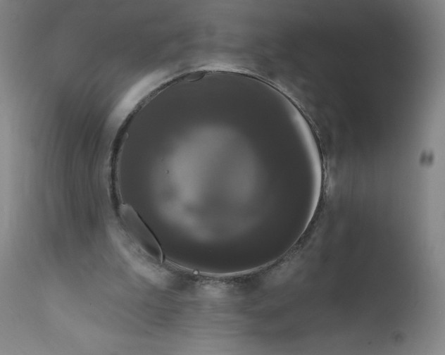 X0000112160199200909041134