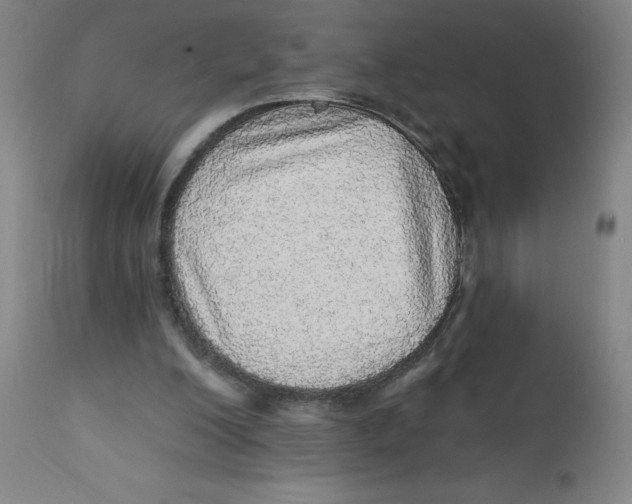 X0000112160200200909041134