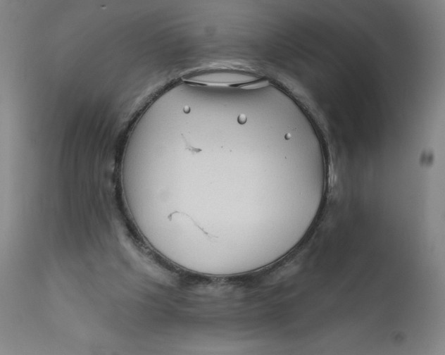 X0000112160201200909041134