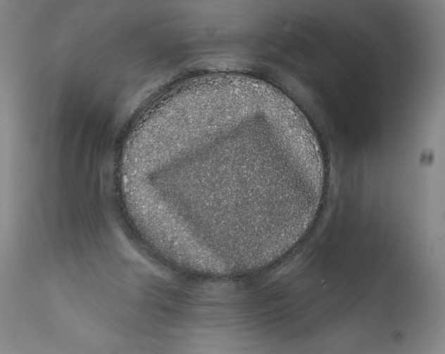 X0000112160202200909041134