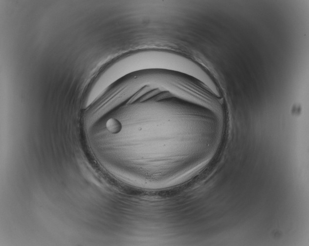 X0000112160203200909041134