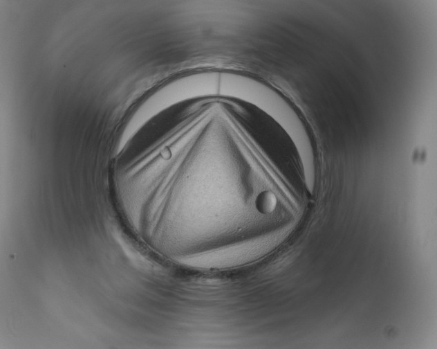 X0000112160205200909041134