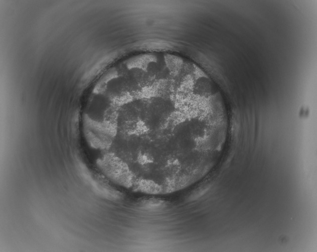 X0000112160206200909041134