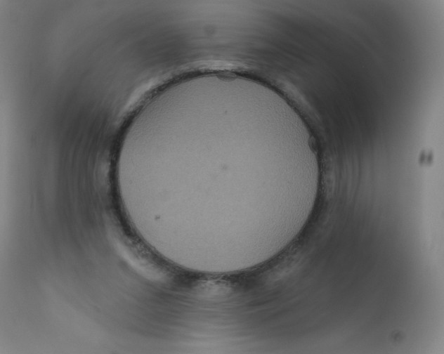 X0000112160207200909041134