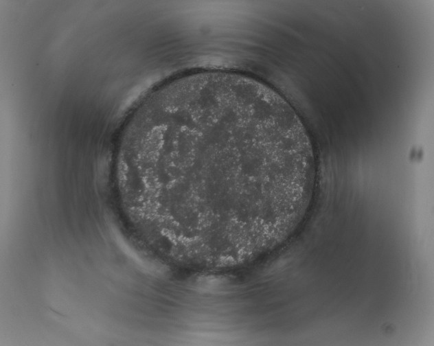 X0000112160208200909041134