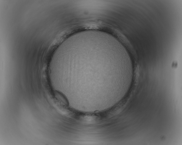 X0000112160209200909041134
