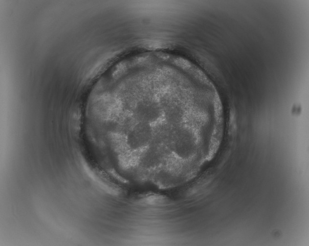 X0000112160210200909041134
