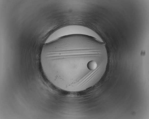 X0000112160211200909041134