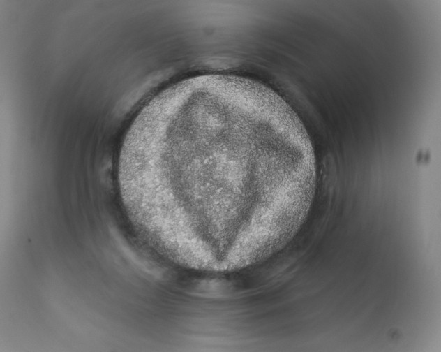 X0000112160212200909041134