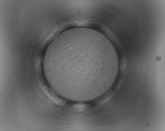 X0000112160213200909041134