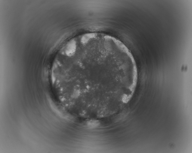 X0000112160214200909041134