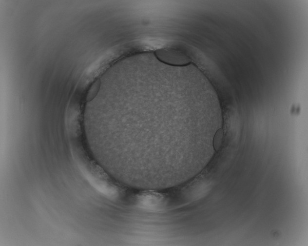 X0000112160215200909041134