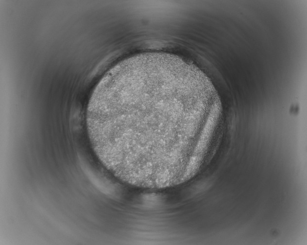 X0000112160216200909041134
