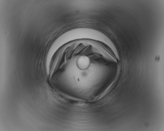 X0000112160217200909041134