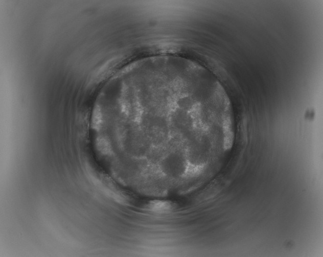 X0000112160218200909041134