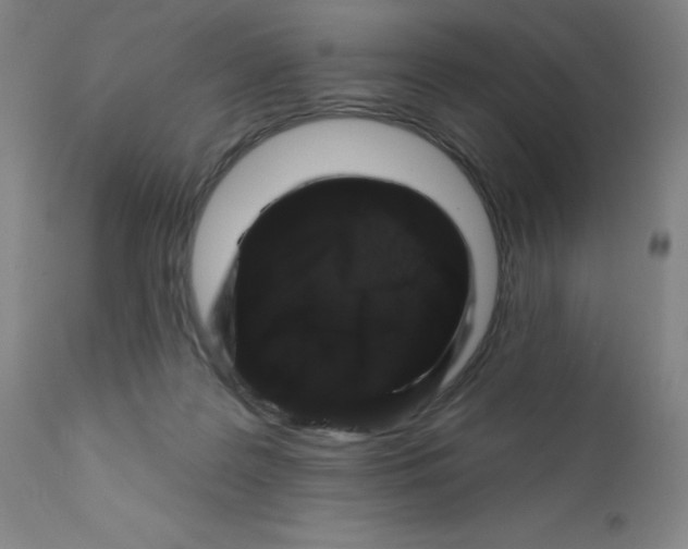 X0000112160219200909041134