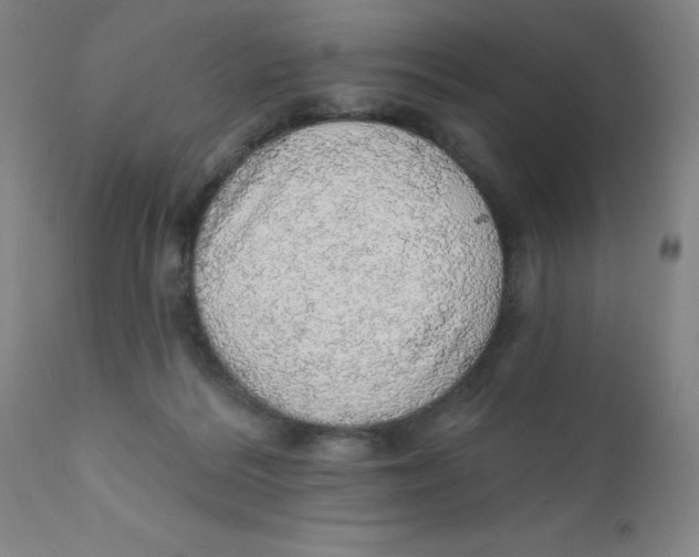 X0000112160220200909041134