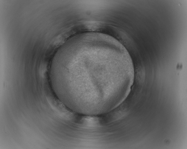 X0000112160221200909041134