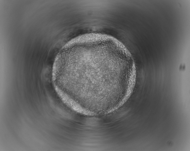 X0000112160222200909041134