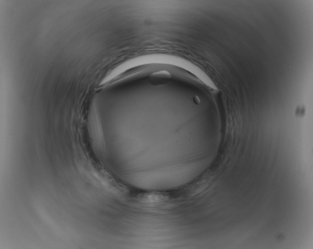 X0000112160223200909041134