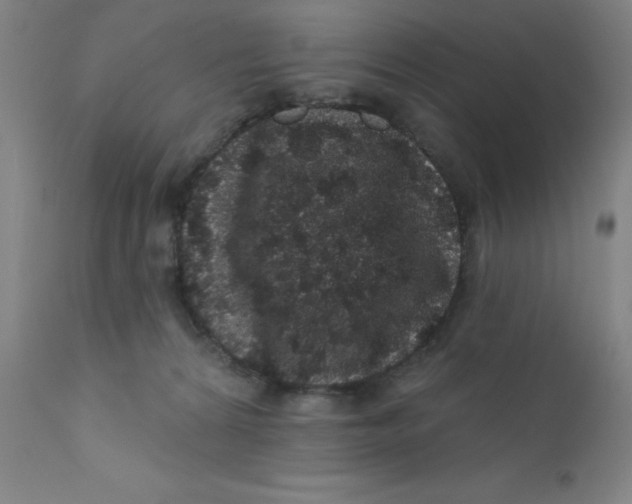 X0000112160224200909041134