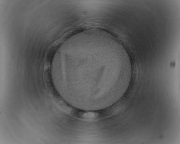X0000112160225200909041134