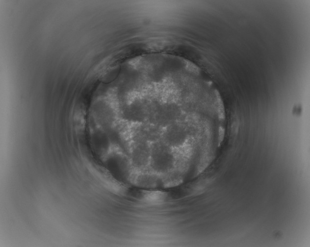 X0000112160226200909041134