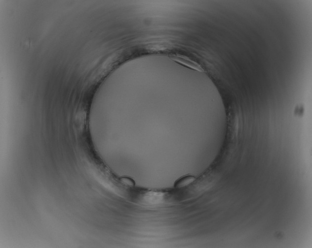 X0000112160227200909041134