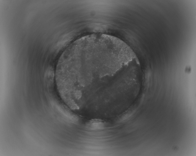 X0000112160228200909041134