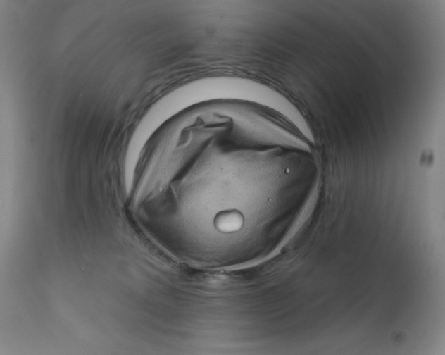 X0000112160229200909041134