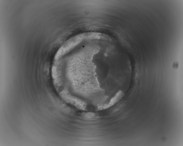 X0000112160230200909041134
